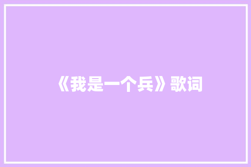 《我是一个兵》歌词 简历模板