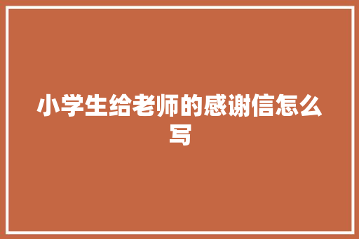 小学生给老师的感谢信怎么写 词汇积累