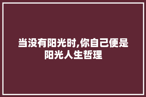 当没有阳光时,你自己便是阳光人生哲理 诗歌创作
