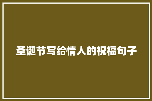 圣诞节写给情人的祝福句子 商业文案