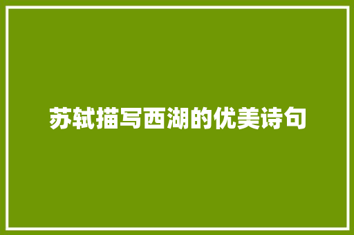 苏轼描写西湖的优美诗句 商业文案