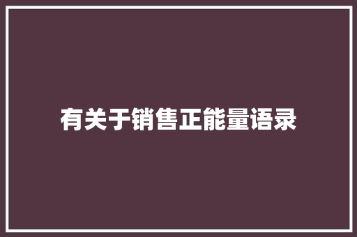 有关于销售正能量语录 写作技巧