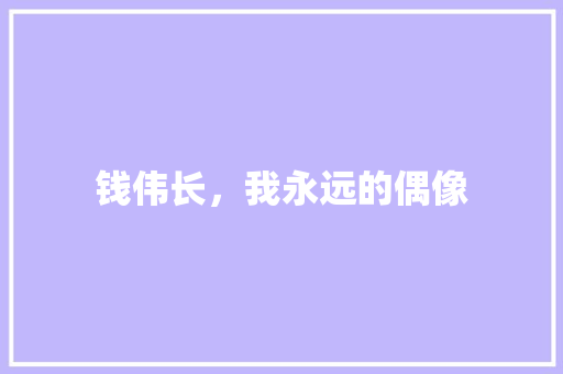 钱伟长，我永远的偶像