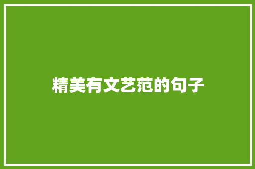 精美有文艺范的句子 写作素材