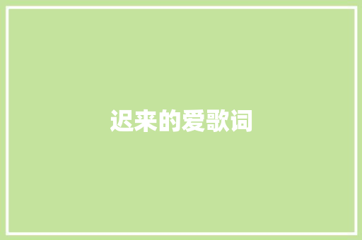 迟来的爱歌词 词汇积累