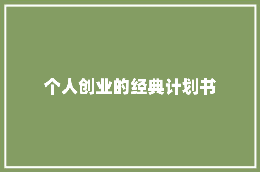 个人创业的经典计划书 词汇积累