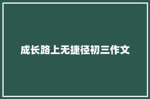 成长路上无捷径初三作文 范文赏析