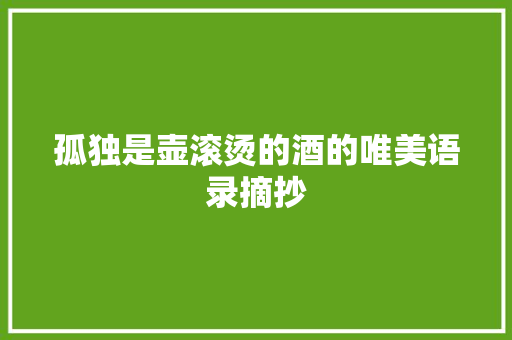 孤独是壶滚烫的酒的唯美语录摘抄 写作素材