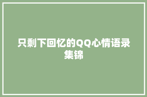 只剩下回忆的QQ心情语录集锦 词汇积累