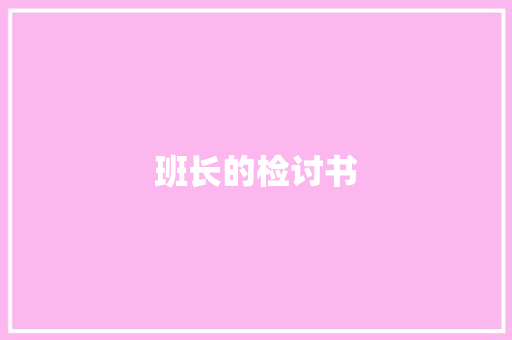 班长的检讨书 商业文案