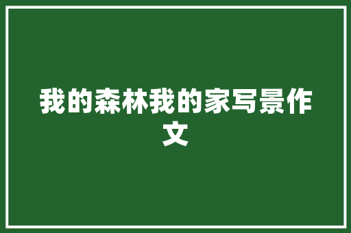 与相信梦想有关的句子 正能量语录 写作素材