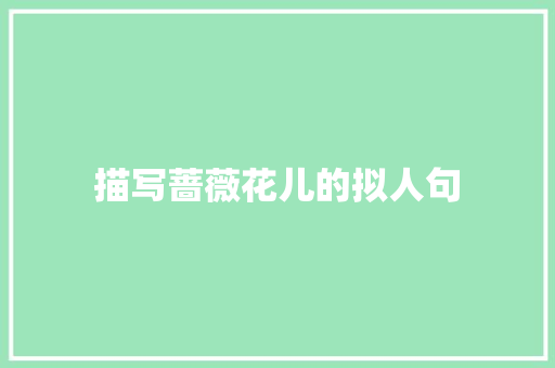描写蔷薇花儿的拟人句 词汇积累