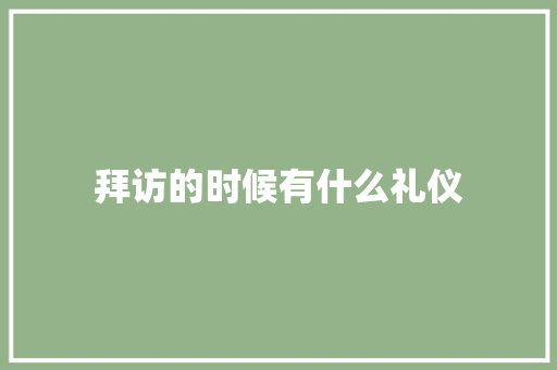 拜访的时候有什么礼仪 写作素材