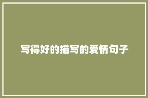 写得好的描写的爱情句子 范文赏析