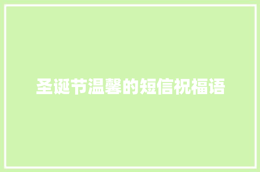 圣诞节温馨的短信祝福语 写作素材