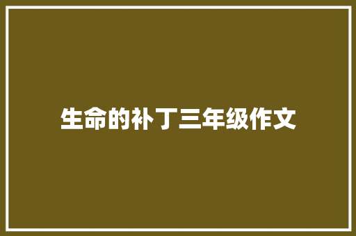 生命的补丁三年级作文 词汇积累