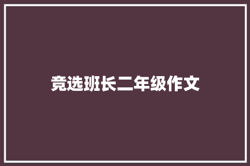 竞选班长二年级作文 商业文案