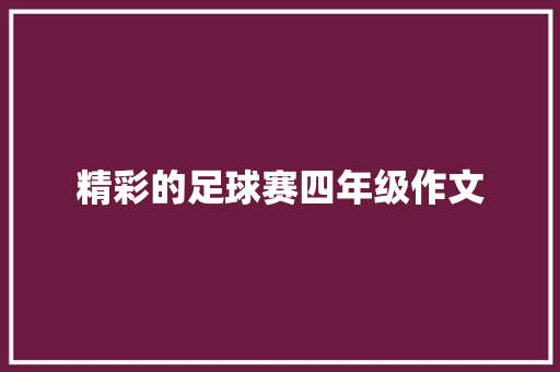 精彩的足球赛四年级作文 简历模板