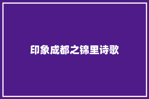 印象成都之锦里诗歌