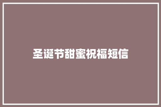 圣诞节甜蜜祝福短信 范文赏析