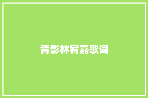背影林宥嘉歌词 词汇积累