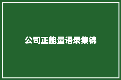 公司正能量语录集锦 写作技巧