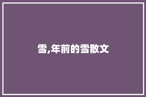 雪,年前的雪散文 词汇积累