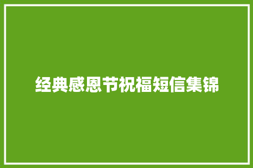 经典感恩节祝福短信集锦 词汇积累