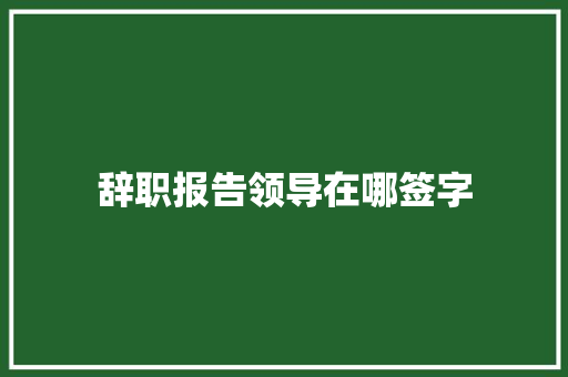辞职报告领导在哪签字 商业文案