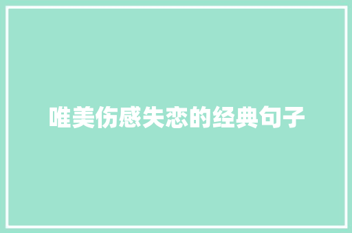 唯美伤感失恋的经典句子 词汇积累