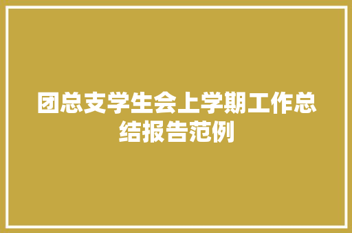 团总支学生会上学期工作总结报告范例 商业文案