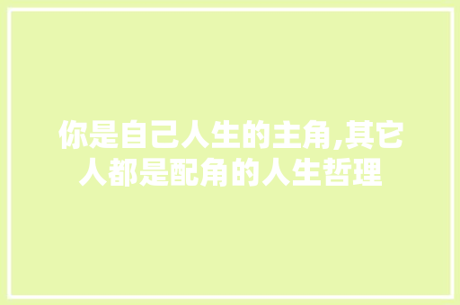 你是自己人生的主角,其它人都是配角的人生哲理 报告写作