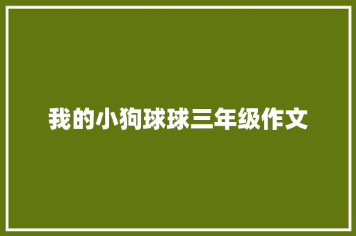 我的小狗球球三年级作文 简历模板