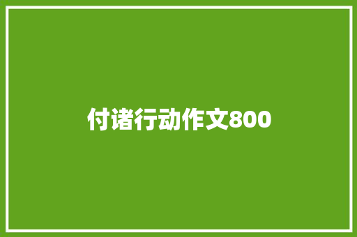 付诸行动作文800 报告写作