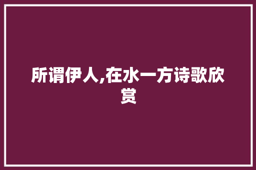 所谓伊人,在水一方诗歌欣赏