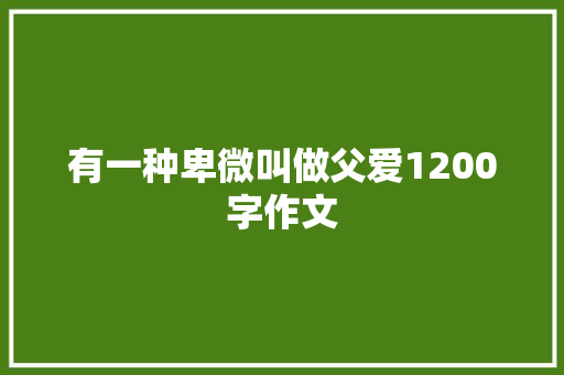 有一种卑微叫做父爱1200字作文