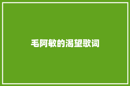 毛阿敏的渴望歌词