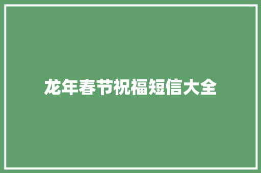 龙年春节祝福短信大全 词汇积累