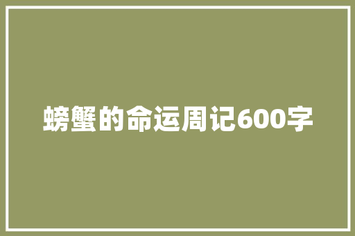 煤矿安全检讨书汇总 词汇积累