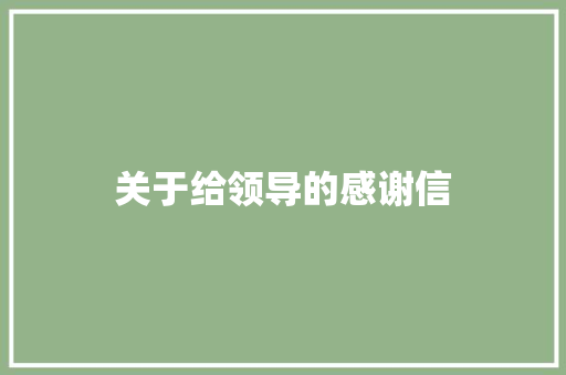关于给领导的感谢信
