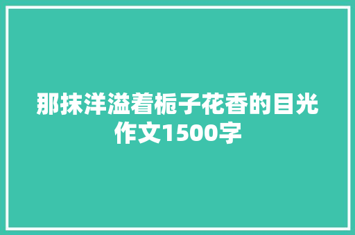 那抹洋溢着栀子花香的目光作文1500字 报告写作
