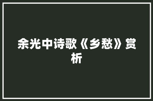 师生情六年级优秀作文