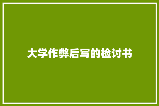大学作弊后写的检讨书 简历模板