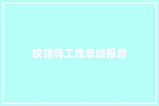 校领导工作总结报告 报告写作