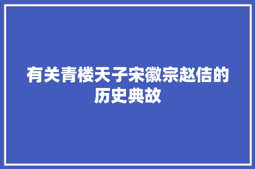 有关青楼天子宋徽宗赵佶的历史典故 诗歌创作