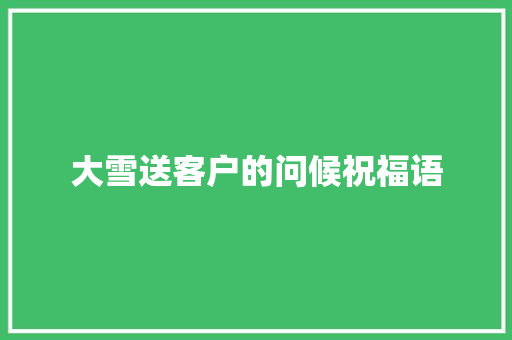 大雪送客户的问候祝福语 商业文案