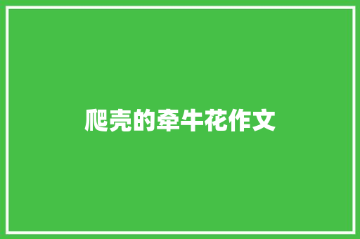 爬壳的牵牛花作文 范文赏析