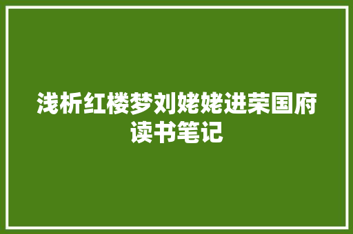 浅析红楼梦刘姥姥进荣国府读书笔记 词汇积累