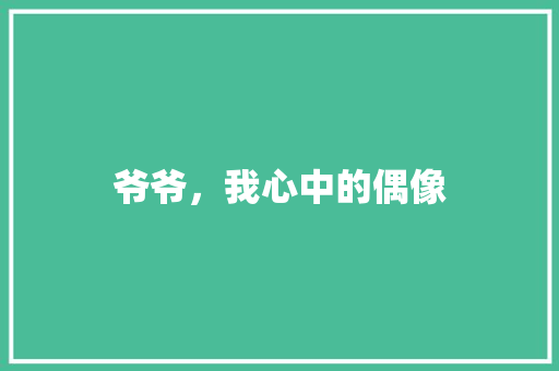 爷爷，我心中的偶像 词汇积累