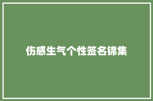 伤感生气个性签名锦集 写作技巧